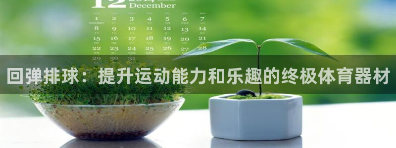 星欧娱乐是正规平台吗知乎文章：回弹排球：提升运动能力