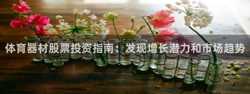 星奥娱乐集团怎么样：体育器材股票投资指南：发现增长潜