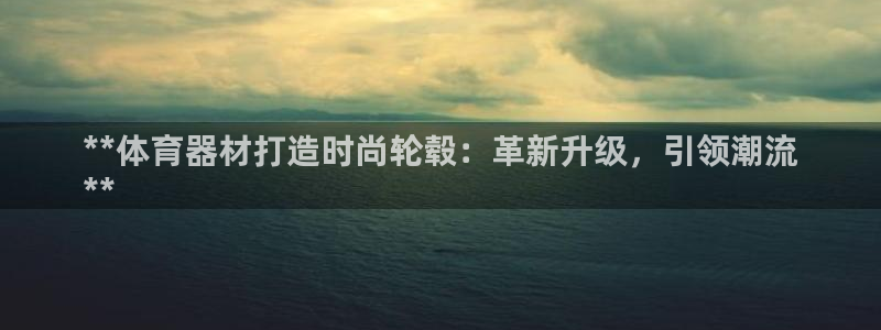 星欧娱乐公司：**体育器材打造时尚轮毂：革新升级，引