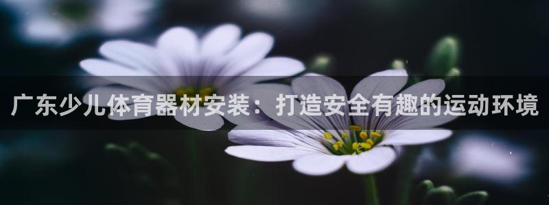 星欧娱乐属于什么档次的公司：广东少儿体育器材安装：打