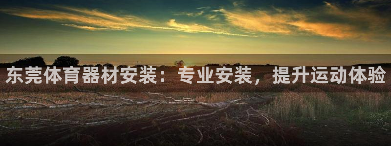 星欧娱乐属于什么档次的软件公司：东莞体育器材安装：专