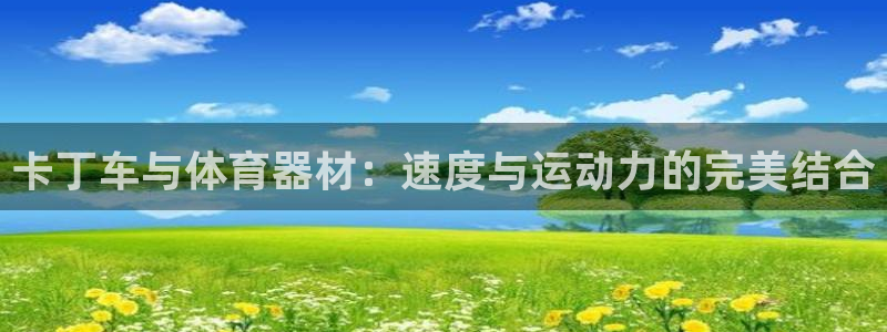 星欧娱乐的创始人背景故事介绍：卡丁车与体育器材：速度
