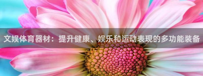 星娱乐online创作的原声胡歌吴磊：文娱体育器材：