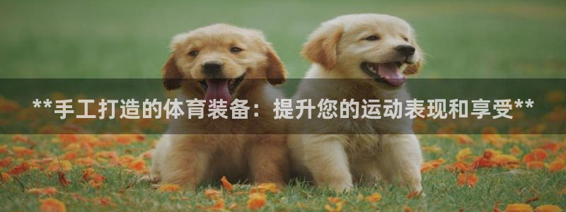星欧娱乐总代.直开.中国：**手工打造的体育装备：提