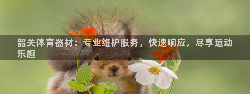 欧亿测速娱乐：韶关体育器材：专业维护服务，快速响应，