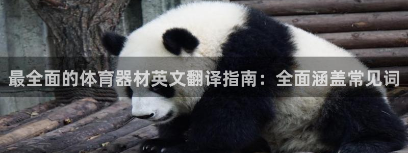 星欧娱乐是正规平台吗可靠吗：最全面的体育器材英文翻译