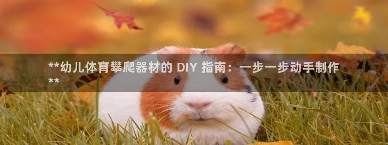 星欧娱乐平台怎么样可靠吗：**幼儿体育攀爬器材的 D