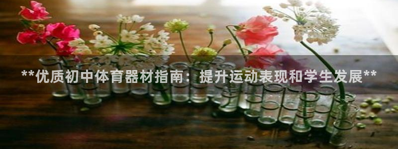 星欧娱乐最建议买的三个游戏是什么：**优质初中体育器