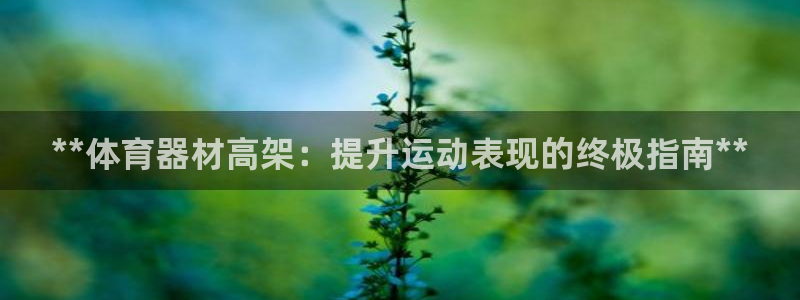 江苏星奥娱乐：**体育器材高架：提升运动表现的终极指