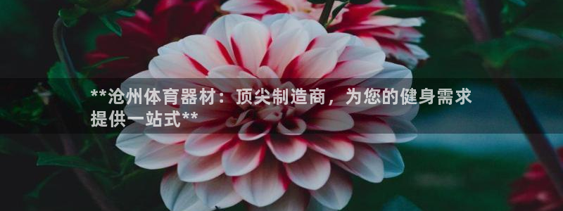 星欧娱乐是正规平台吗安全吗知乎