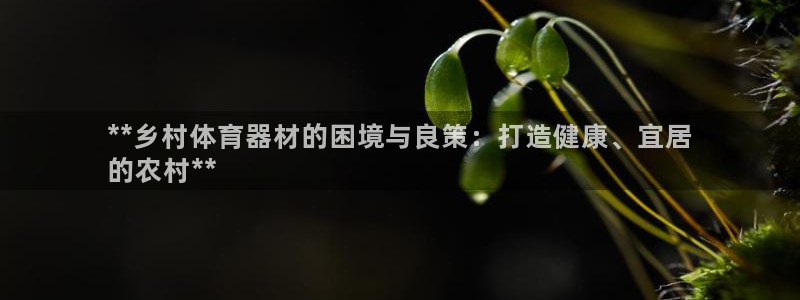 江苏星奥娱乐：**乡村体育器材的困境与良策：打造健康