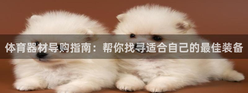 星欧娱乐会员优惠活动：体育器材导购指南：帮你找寻适合