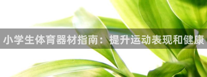 星奥娱乐待遇怎么样：小学生体育器材指南：提升运动表现