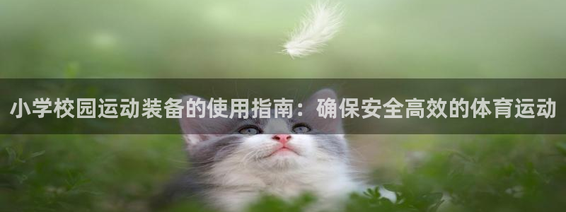 星欧娱乐：小学校园运动装备的使用指南：确保安全高效的
