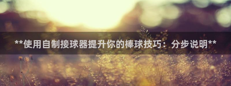 星娱乐文化传媒有限公司：**使用自制接球器提升你的棒