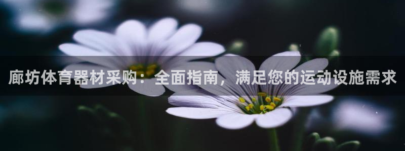 星欧娱乐平台量7O777：廊坊体育器材采购：全面指南，满足您 