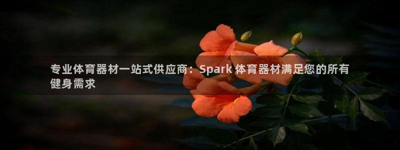 星欧娱乐扣款流程详解视频：专业体育器材一站式供应商：