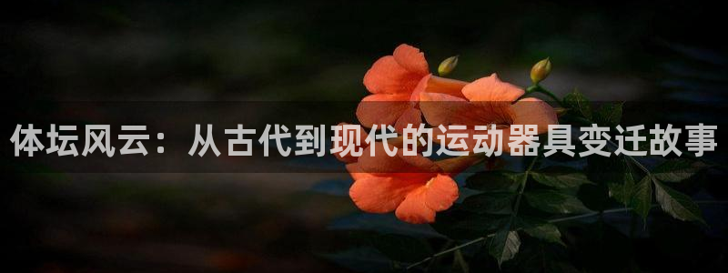 星欧娱乐扣款时间查询方法怎么查的