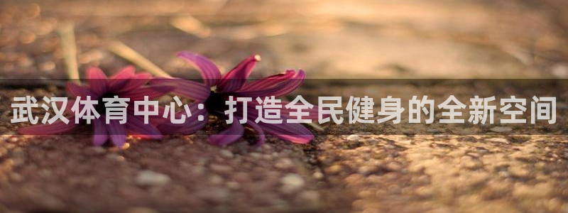 星欧娱乐的创始人背景故事是什么