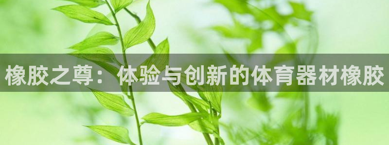 星娱乐online