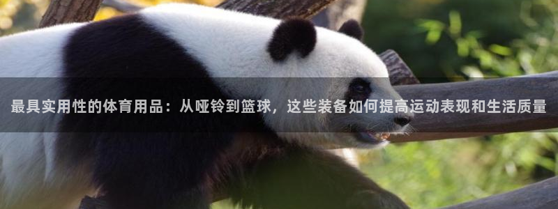 星欧娱乐最建议买的三个产品有哪些内容