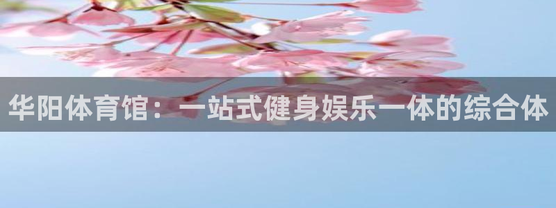 星欧娱乐公司怎么样
