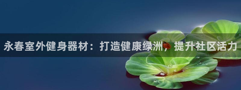 星欧娱乐扣款：永春室外健身器材：打造健康绿洲，提升社区活力