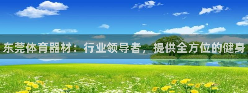 星欧娱乐最建议买的三个游戏：东莞体育器材：行业领导者