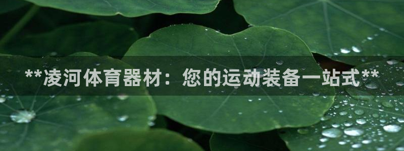 星欧娱乐扣款流程详解图片：**凌河体育器材：您的运动