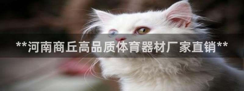 星奥娱乐集团是国企吗：**河南商丘高品质体育器材厂家直销**