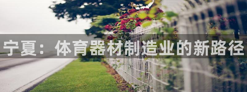 星欧娱乐官方客服联系方式是什么