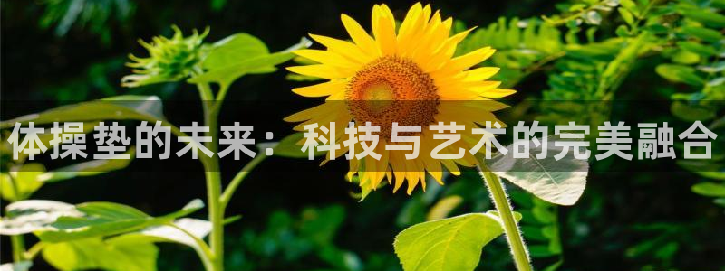 星欧娱乐公司怎么样：体操垫的未来：科技与艺术的完美融合