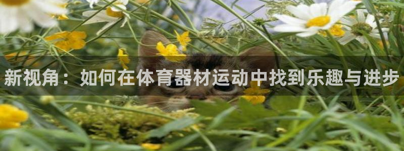 星欧娱乐的官方版本更新内容是什么：新视角：如何在体育器材运动