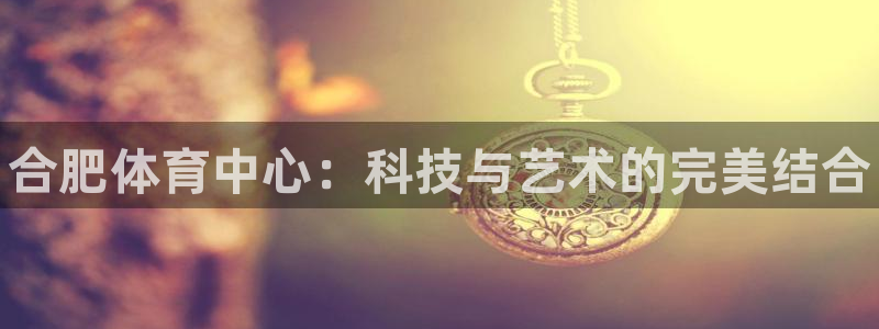 江苏星奥娱乐有限公司怎么样：合肥体育中心：科技与艺术的完美结