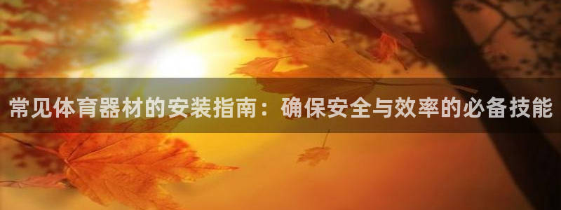 星欧娱乐最建议买的三个产品是哪三个：常见体育器材的安装指南：