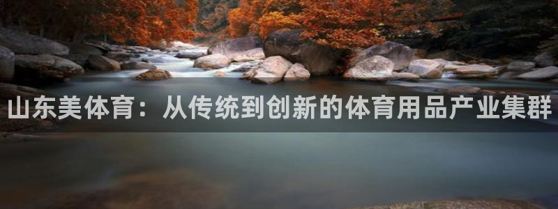 星欧娱乐扣费后解决方法：山东美体育：从传统到创新的体育用品产 