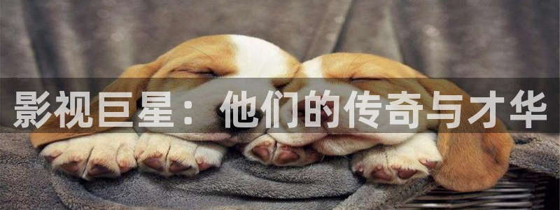 宅男视频在线免费看