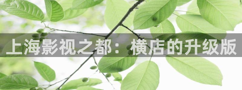 国产宅男视频免费在线观看
