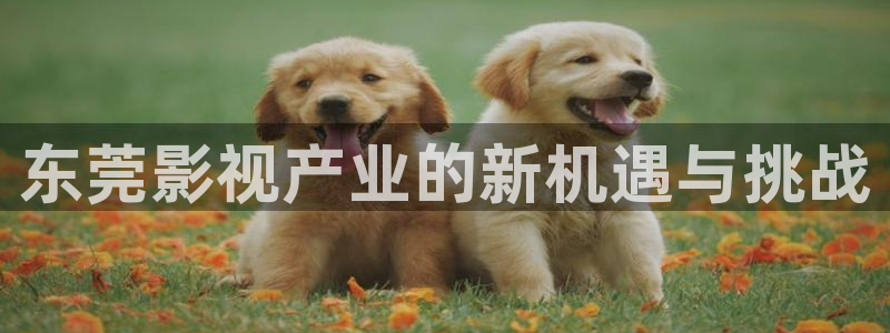 宅男视频app
