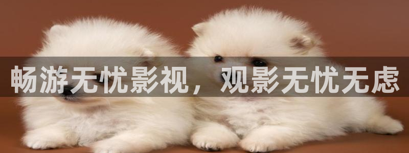 宅男视频.