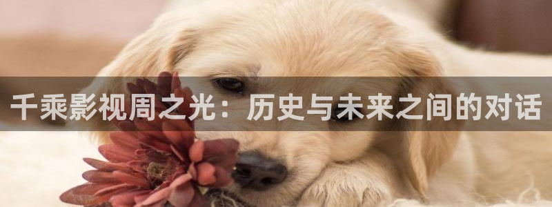 宅男视频ios下载