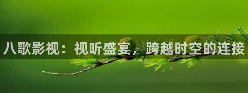宅男视频在线观看免费