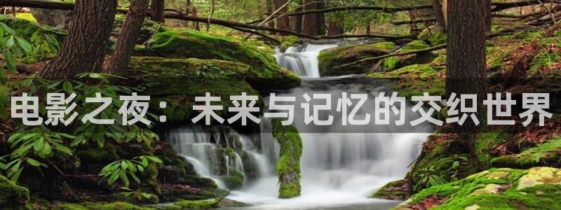 宅男视频资源网