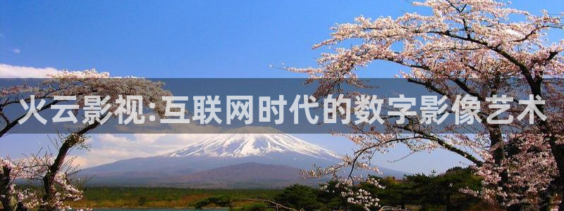 宅男视频网